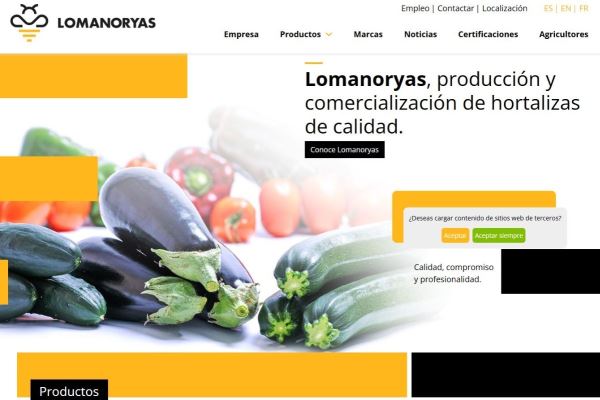 Nueva web desarrollada para Lomanoryas